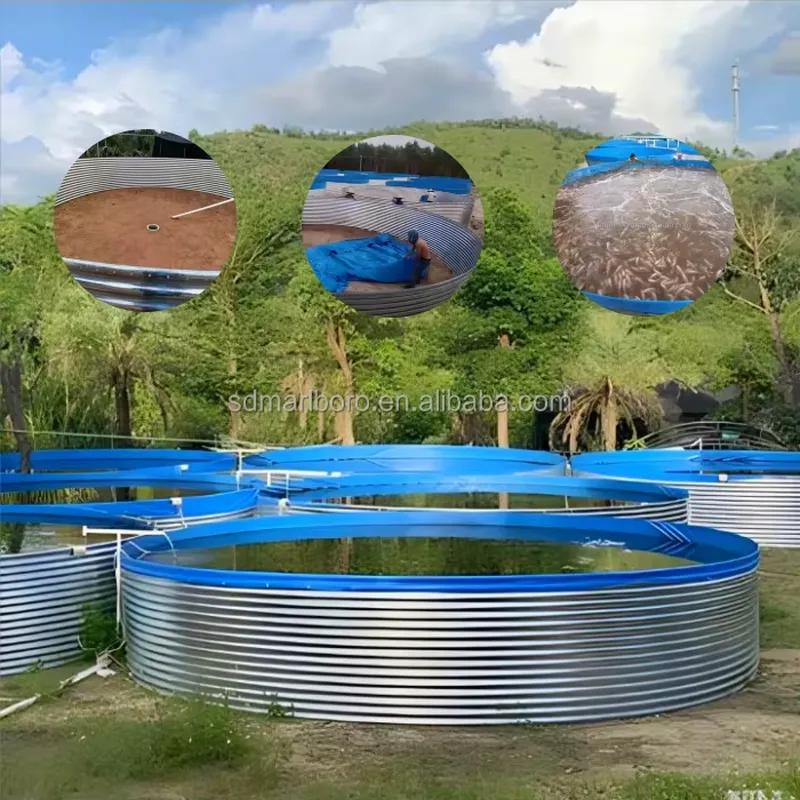 SDM Tarpaulin Farm Pool for Ga - đánh giá và giá Farming Agriculture Stocks